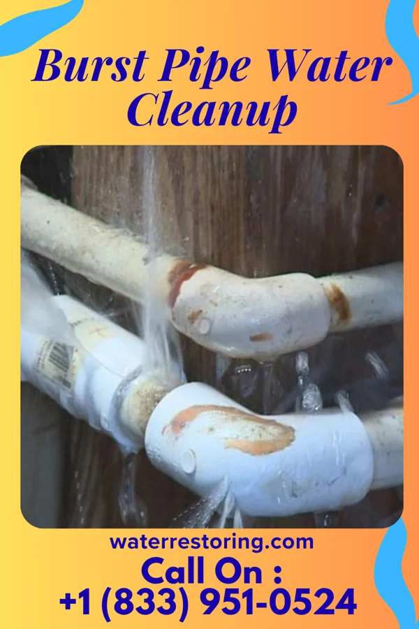 Burst Pipe Water Cleanup in Rochester, MI